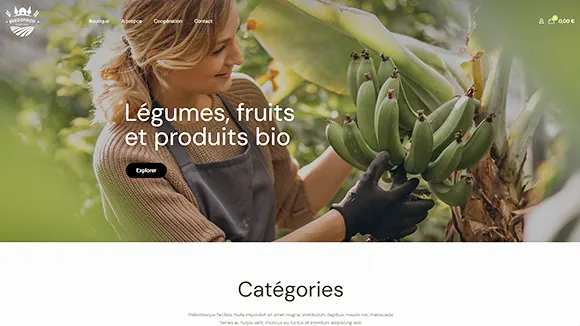 Image démonstration site ecommerce